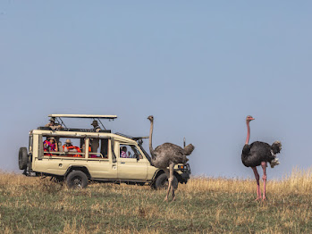 8 Nights 9 Days Masai Mara