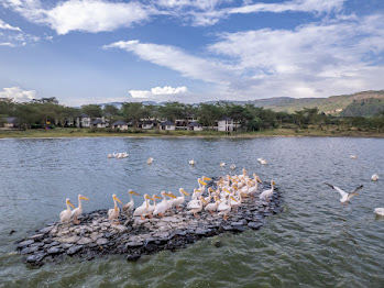 8 Nights 9 Days Masai Mara