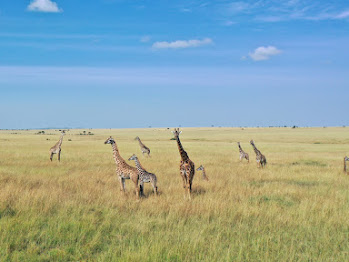 4 Days Taste of Kenya