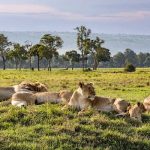 Northern Discovery 4 Days - 3 Nights Tour
