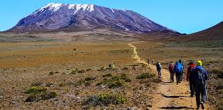 Machame Route 8 Days - 7 Nights Tour