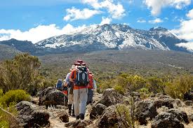 Shira Route 7 Day Itinerary Tour