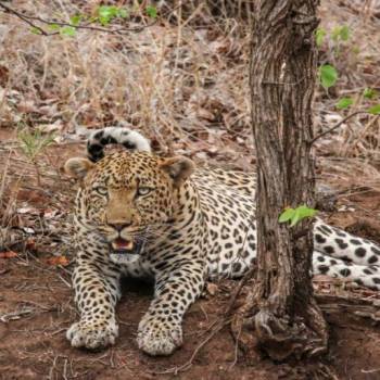 10 Days Magical Kenya Experience Tour