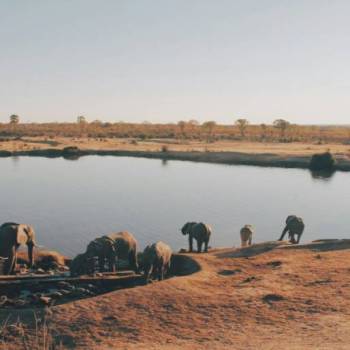 4 Day Victoria Falls - Hwange National Park Safari Tour