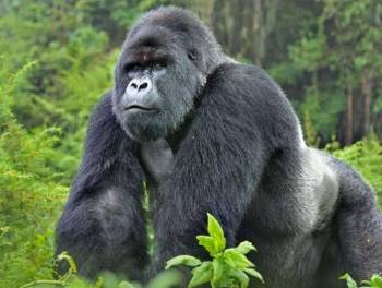 Kanungu Tour Packages