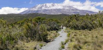 7-Days Rongai Route - Kilimanjaro Trekking Tour