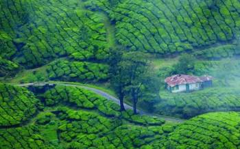 Kerala - God Own Country Tour