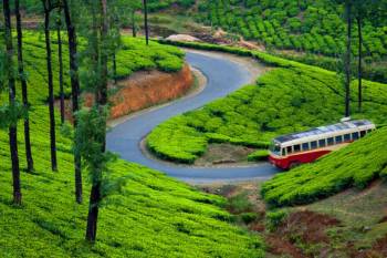 Munnar - Thekkady - Alleppey - Varkala Tour