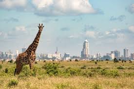 1 Day Tour Nairobi Excursion