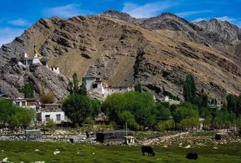Sham Valley Trek With Ladakh 5N - 6D Tour