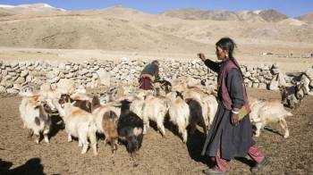 Leh to Nubra Turtuk  Pangong Hanle & Tsomoriri 6 Night 7 Days