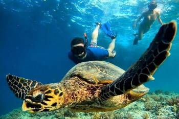 6N - 7D Bali With 1N Stay In Gili Trawangan Tour