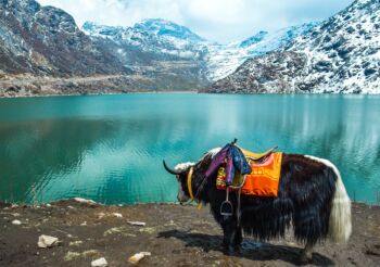 3 Nights & 4 Days Gangtok