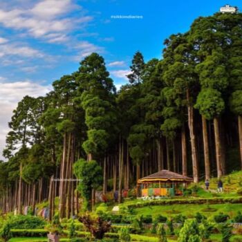 5Nights & 6Days Sikkim & West Bengal