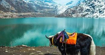 6 Night - 7 Days Gangtok Darjeeling Tour Packages