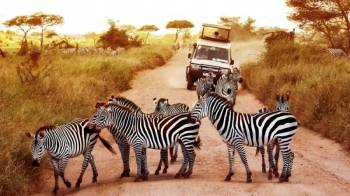 5-Day Short - Sweet Safari Tour