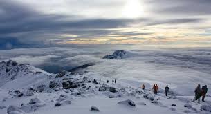 8-Day Kilimanjaro Trek - Machame Route Tour