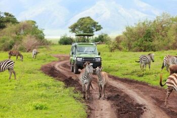 8-Day Luxury Photographic Safari Tour