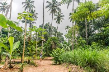 6-Day Zanzibar Spice - Sand Escape Tour