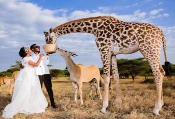 8-Day Luxury Photographic Safari Tour