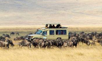 8-Day Luxury Photographic Safari Tour
