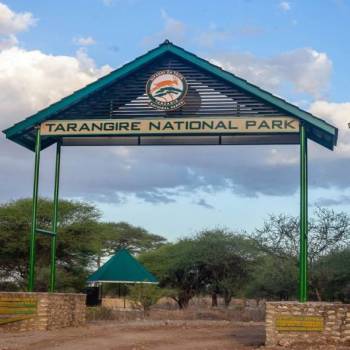 8-Day Luxury Photographic Safari Tour