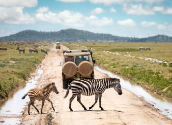 8-Day Luxury Photographic Safari Tour