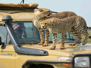 5 Days Tour in Tanzania