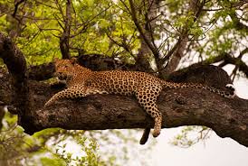 5 Days Tour in Tanzania