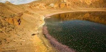 The Cradle Of Mankind Safari Tour