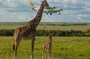 5 Night - 6 Days Governors Flying Safari Tour
