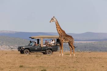 11 Night - 12 Days Hemingways Collection Safari Tour