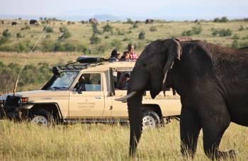 5 Night - 6 Days Sarova Safari Tour
