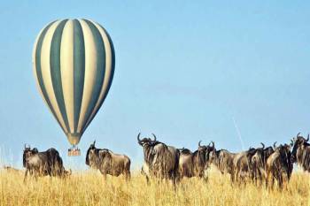 6 Days 5 Nights Serengeti Manyara Crater Safari Tour