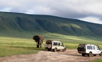 5 Days - 4 Nights Serengeti - Ngorongoro Safari Tour
