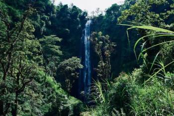4 Days - 3 Nights Tarangire - Ngorongoro - Materuni Waterfalls Safari Tour