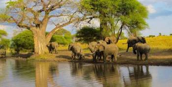 6 Days Tanzania Safari + Cultural Tour Itinerary