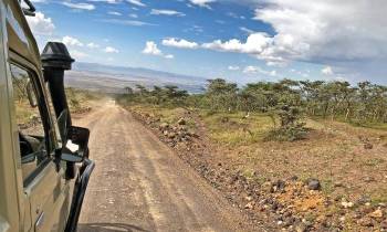 6 Days Tanzania Safari + Cultural Tour Itinerary