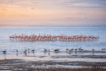 5 Days Tanzania Camping Safari