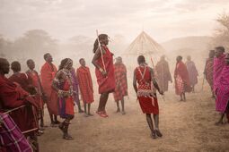 5 Days Tanzania Camping Safari
