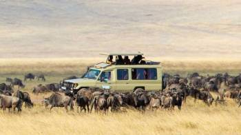 5 Days Tanzania Camping Safari