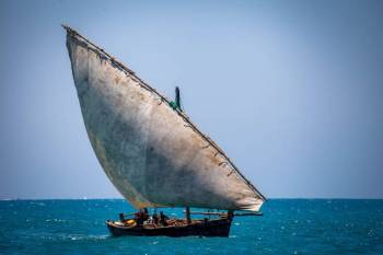 7 Days Tanzania Safari + Zanzibar Beach Holiday