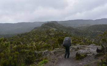 Lemosho Route 7 Days - Kilimanjaro Trek Adventure Tour