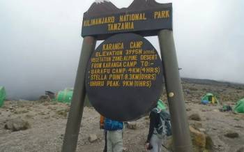 Lemosho Route 8 Days - Kilimanjaro Tour