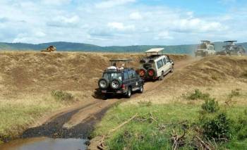 Ngorongoro Tour Packages