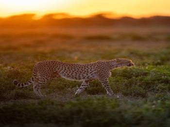 Manyara Tour Packages