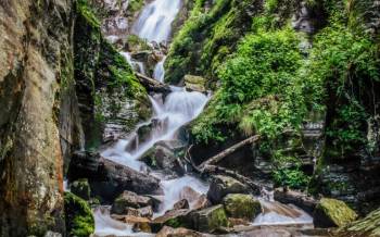 Manali - The Alpine Escape Tour