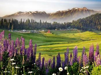 Kashmir - Heaven On Earth Tour