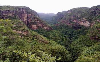 7 Days 6 Nights - With Chitrakoot - Vindhyachal Tour