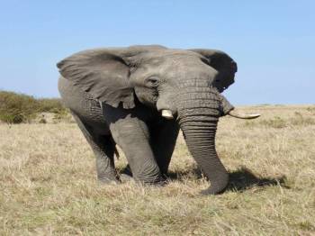 Samburu Tour Packages